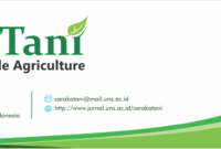 Sustainable Decor Products Gaining Popularity Today