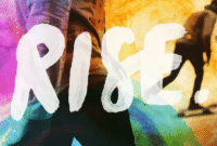 The Rise of No-Code Tools and Their Market Reach Explored